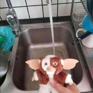 Meet your Posher, Terrie